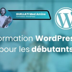 formation wordpress pour les debutants
