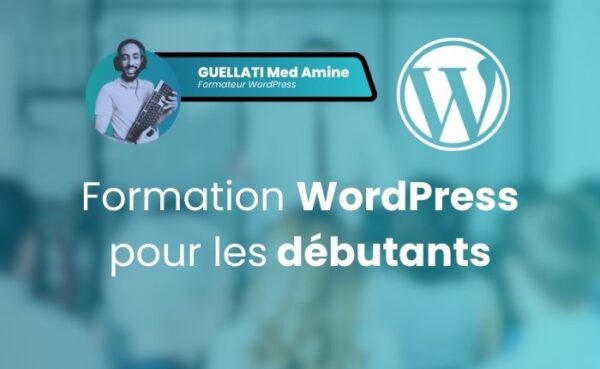 formation wordpress pour les debutants